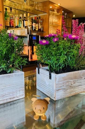 Weinhotel Eltvinum Eltville am Rhein Luaran gambar
